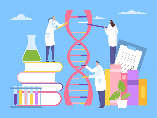 Metodología de la Investigación SEP